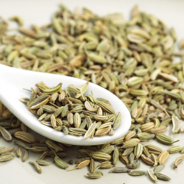 Graines de fenouil  (زريعة البسباس) بذور الشمر